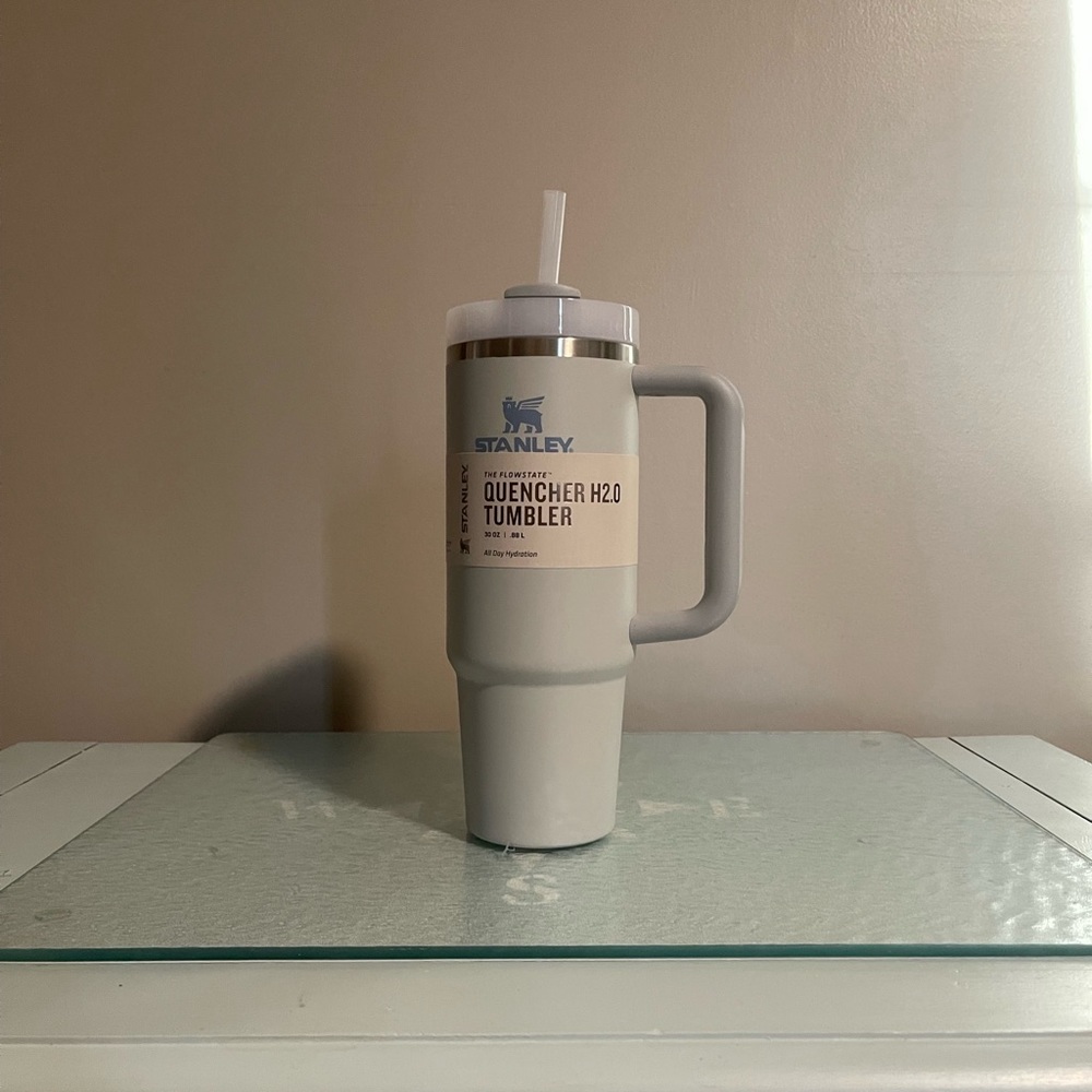 Stanley Flowstate Quencher H2.0 Tumbler 30 oz in the color Fog